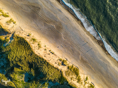 11498 - North Sea, beach and dunes from above at Græm Strand