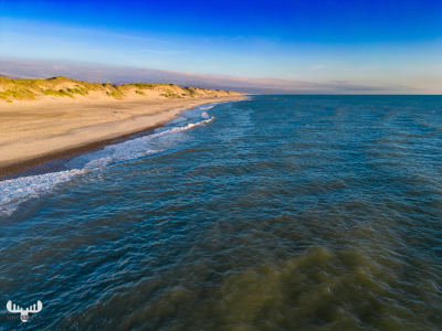 11499 - North Sea, beach, dunes from seaside at Græm Strand