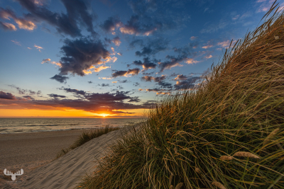 11524 - Dune and beach grass leading to sunset North Sea