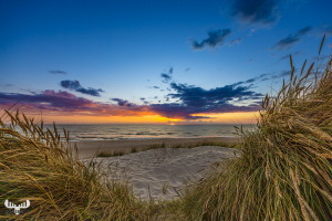 11528 - Biew through dunes and beach grass to sunset North Sea