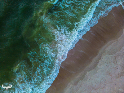 11533 - North Sea and beach from above