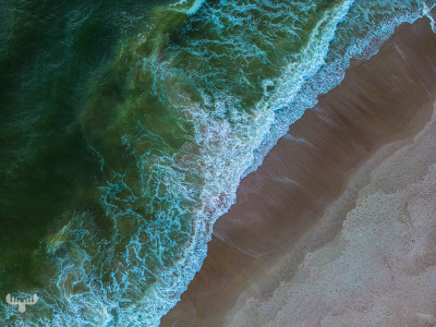 11533 - North Sea and beach from above
