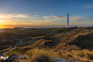 11545 - Nr.Lyngvig Fyr in dunes at sunset