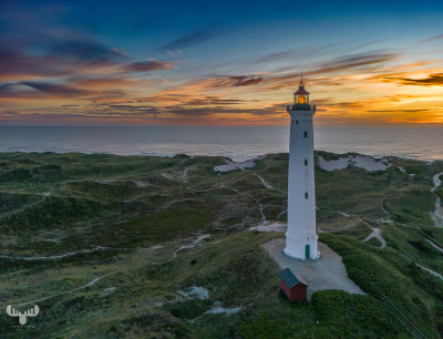 11555 - Nr.Lyngvig Fyr on Holmsland Klit with North Sea in background