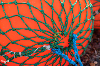 11599 - Red swimming buoy in net