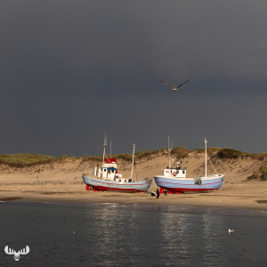 11640 - Fishing boats and gull on  Nr.Vorupør beach