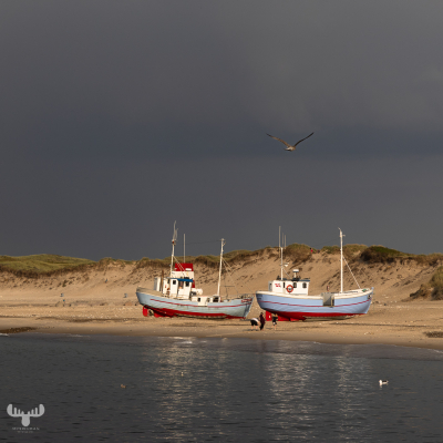 11640 - Fishing boats and gull on  Nr.Vorupør beach