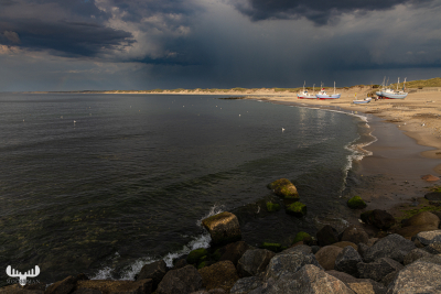11642 - Pier and beach with fishing boats in Nr.Vorupør