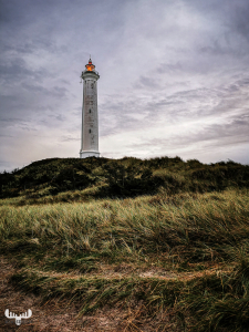 11722 - Nr.Lyngvig Fyr lighthouse on dune top