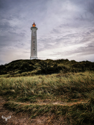 11722 - Nr.Lyngvig Fyr lighthouse on dune top