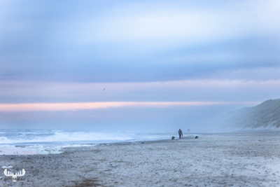 11724 - Nr.Lyngvig beach in foggy, soft sunset colors with person and dogs