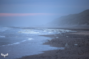 11726 - Nr.Lyngvig beach in foggy, soft sunset colors