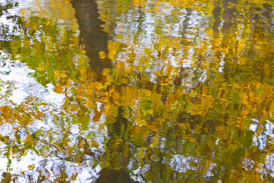 11739 - Autumn colors in Alkjær Lukke Park - relection I
