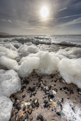 11756 - Algae foam on North Sea beach with sun