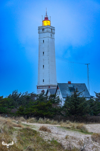 11809 - Blåvandshuk Fyr lighthouse - lit lantern I
