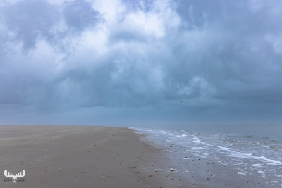 11814 - Blåvand Strand width