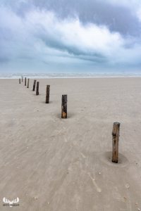 11816 - Blåvand Strand with wooden poles in a row