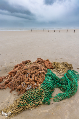 11817 - Blåvand Strand with wooden poles in a row and fishing nets