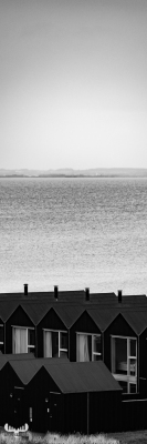 11822 - Houses and Ringkøbing Fjord in Hvide Sande