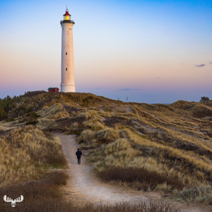 11824 - Nr.Lyngvig Fyr lighthouse - Path with person
