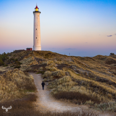 11824 - Nr.Lyngvig Fyr lighthouse - Path with person