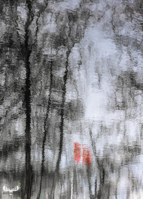 11841 - Dannebrog flag and trees reflected - art version