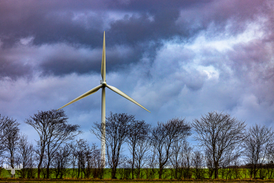 11842 - Wind turbines behind trees