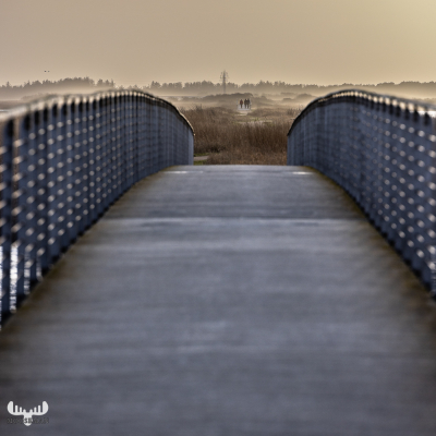 11851 -  Bagges Dæmning bridge