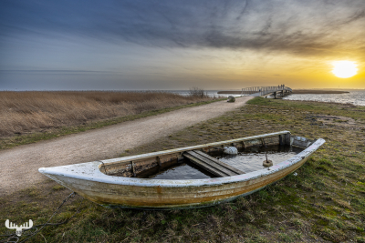11854 - Rowing boat at Bagges Dæmning at sunset