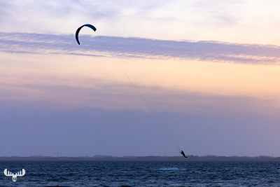 11855 - Surfer jumping on Ringkøbing Fjord
