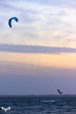 11859 - Jumping Surfer on Ringkøbing Fjord