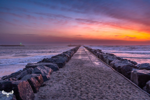 11866 - Hvide Sande pier at sunset colors