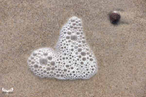 11890 - Foam heart and stone on Hvide Sande beach sands