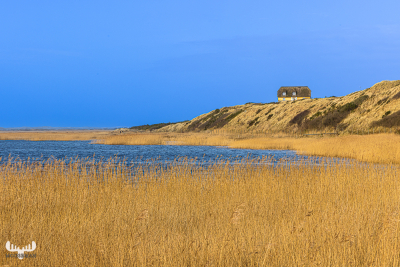 11908 - House on the cliffs at Ringkøbing Fjord in Nymindegab