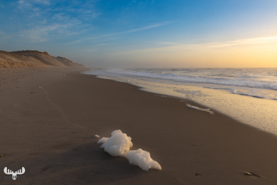 11918 - North Sea beach sunset with pastels