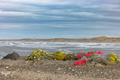 11956 - Fishing nets on Nr.Vorupør beach