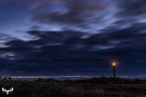 12002 - Nr.Lyngvig Fyr lighthouse lighted with dark sky