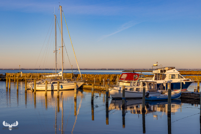 12009 - Ringkøbing havn harbor with boats
