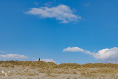 12062 - Couple arm in arm on dune