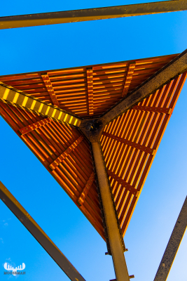 12086 - Husby Klit Båke looking into the sky