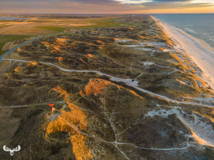 12098 - Husby Klit Båke from above with dunes and North Sea