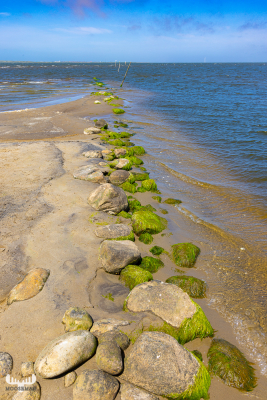 12141 -  - Helm Klink havn harbor -  Nissum Fjord view from harbor outlet