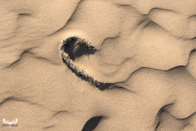 12202 - rope in beach sand structures at Høfde Q