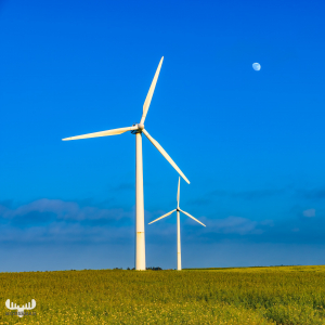 12203 - Wind turbines and moon