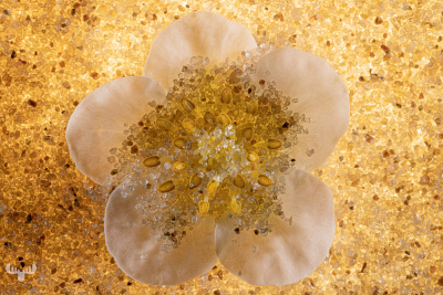 12254 - Sand flower art