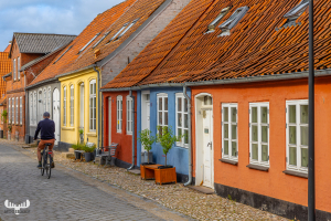 12487 - Gråbrødevej Colored Houses