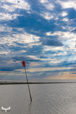 12501 - Wadden sea at Vidåslusen lock