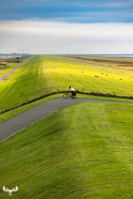 12507 - Cyclicts on dike at Vidåslusen lock