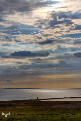 12511 - Vidåslusen lokc- view over wadden sea at dramatic sunset