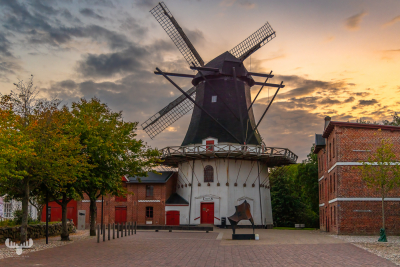 12514 - Højer Mølle at sunset